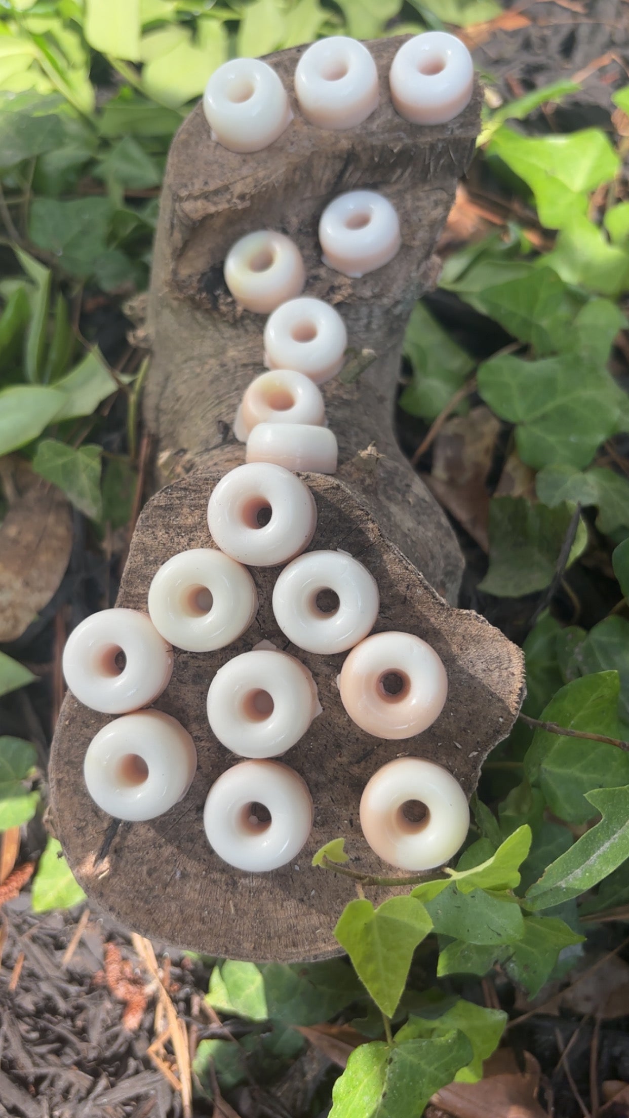 Apple Donuts 🍩