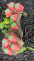 Strawberry Goddess 🍓 Wax Melts