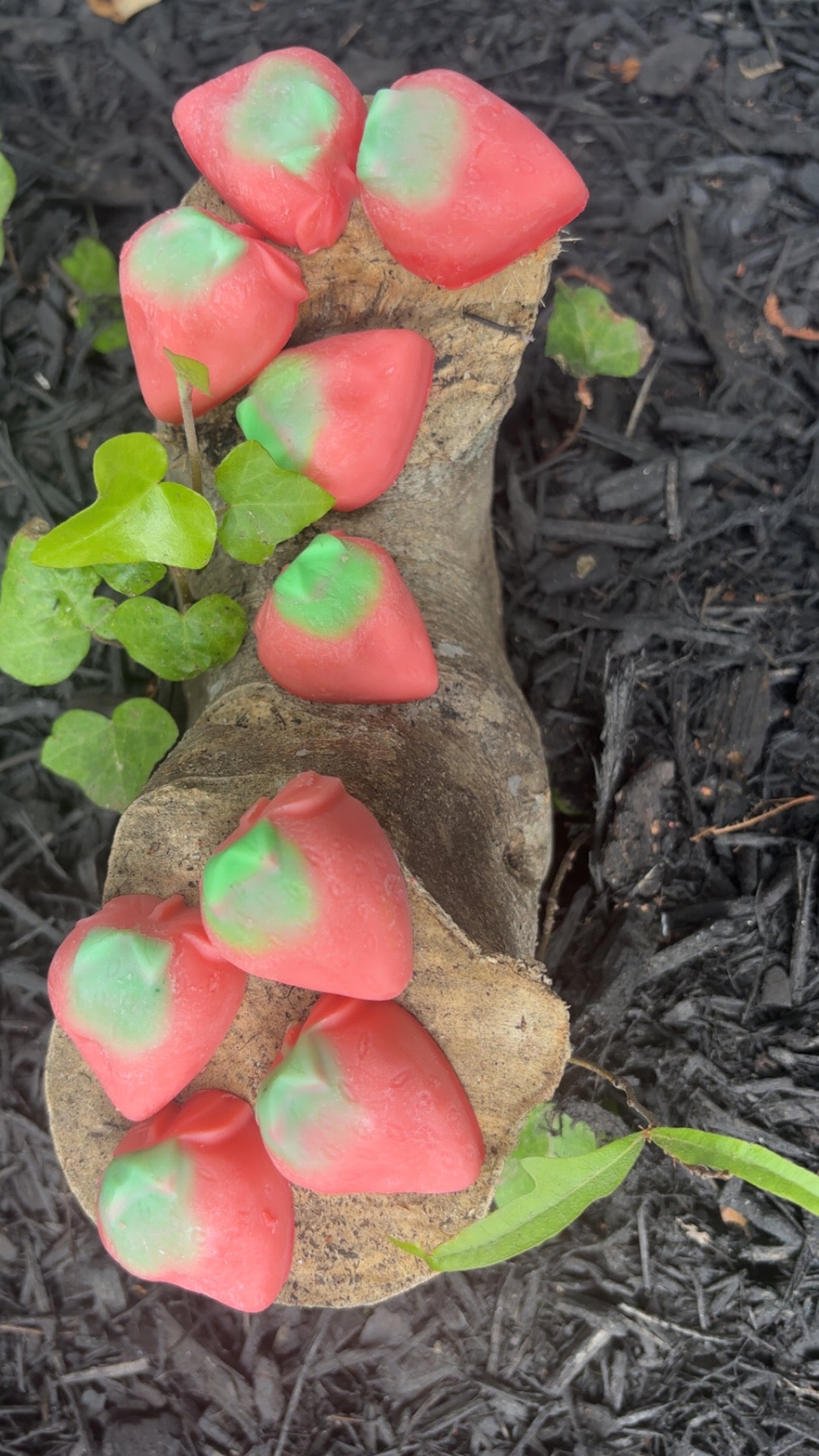 Strawberry Goddess 🍓 Wax Melts